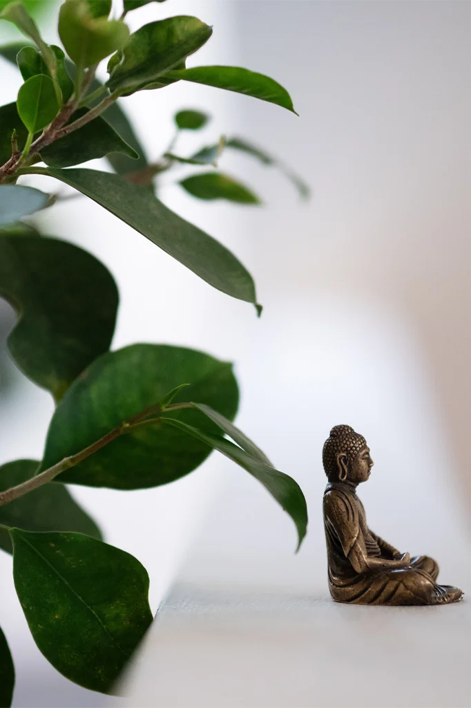 a Buddha Statue sitting in meditation pose surrounded by the leaves of a Fig Plant in front of a white background